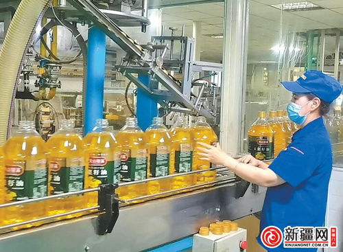 烏魯木齊食品企業(yè)強化生產(chǎn)保障供應(yīng)與技術(shù)創(chuàng)新