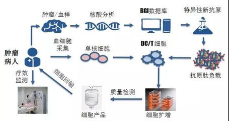 煜森資本 華大吉諾因攜腫瘤新生抗原誘導CTL技術(shù)亮相AACR，開啟免疫治療新篇章